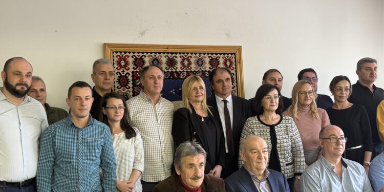 Saša Surdulović novi predsednik pirotskog veća